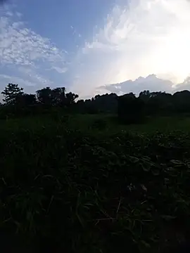 Asexycook4Ubananas