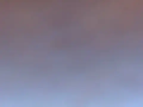 hey_Daisy