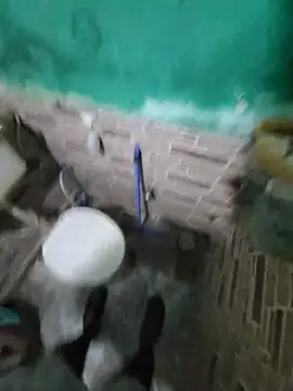 yourash22