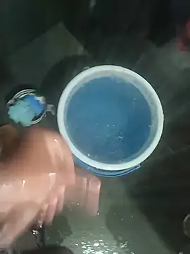 sissybar
