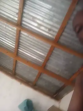 WiseDi webcam