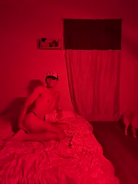 domoferrara webcam