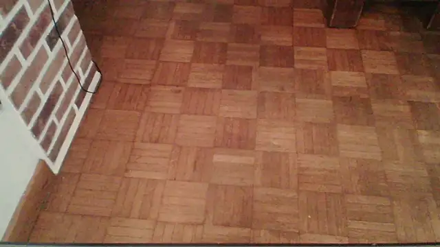 ludowrss webcam