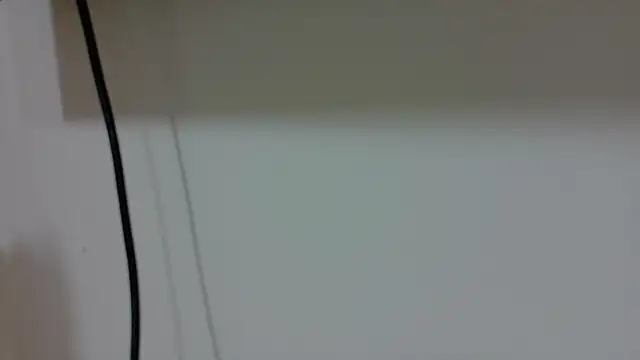 Dagit_Fox webcam