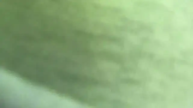 ArielDarter webcam