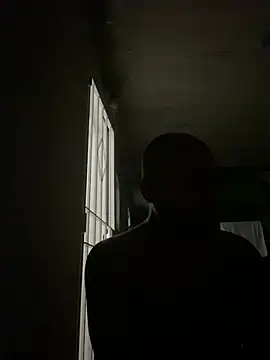 islandvybee55 webcam