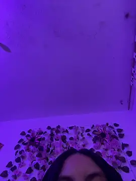 Dominic_Schmit01 webcam