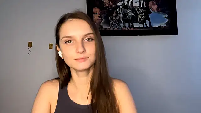 VanMendrin webcam