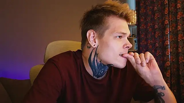 DENIS_HERE webcam