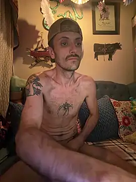 HarmoniousPhantasm3 webcam