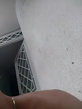 ARES_DAM webcam