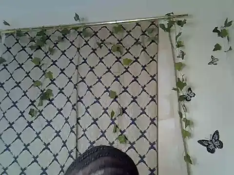 melvinGee webcam