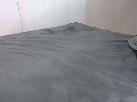 Switdelfy webcam