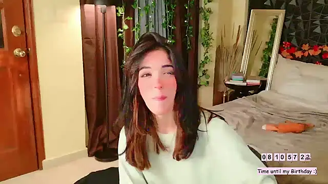 Numerotress webcam