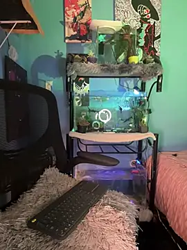 CRAZY-BOY99 webcam