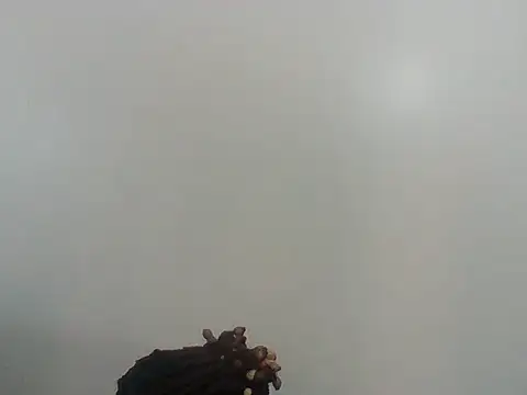 Quintah00 webcam