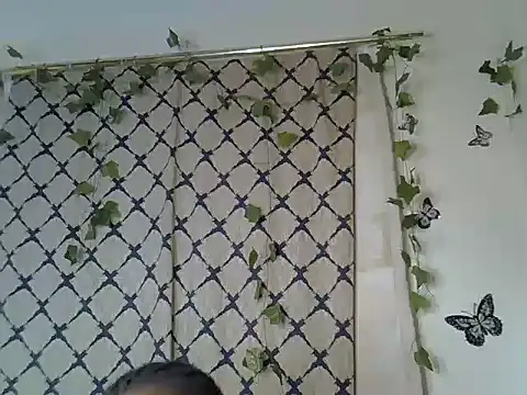 melvinGee webcam