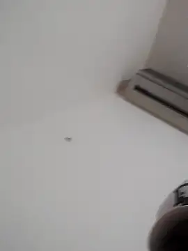 Demillvan webcam