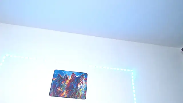 AdaraLink webcam