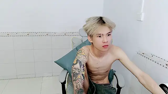 KPL-11 webcam