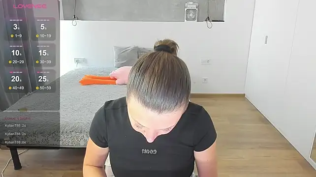 Kitkatvel webcam