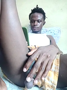 Rex1035 webcam
