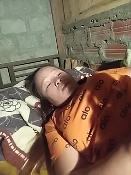 Ip34 webcam