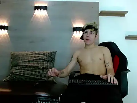 Gaeliitto webcam