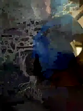 Biknight webcam