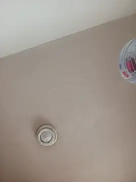 Lidia3590 webcam