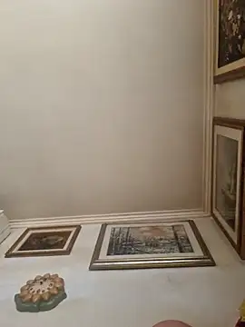 stellina8 webcam