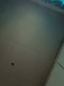 SoggyTruffle webcam