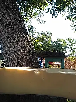 Rolandxxxr webcam