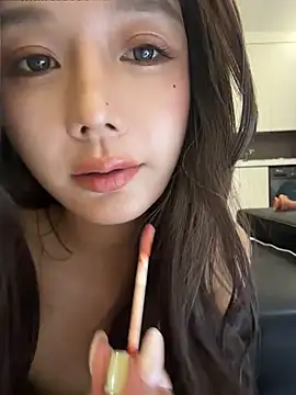 BBi-0329 webcam