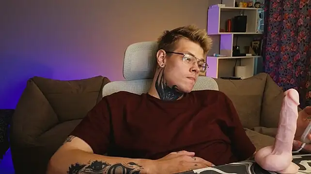 DENIS_HERE webcam