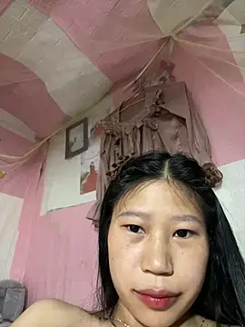 Spying_bird webcam