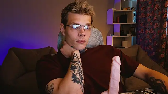 DENIS_HERE webcam