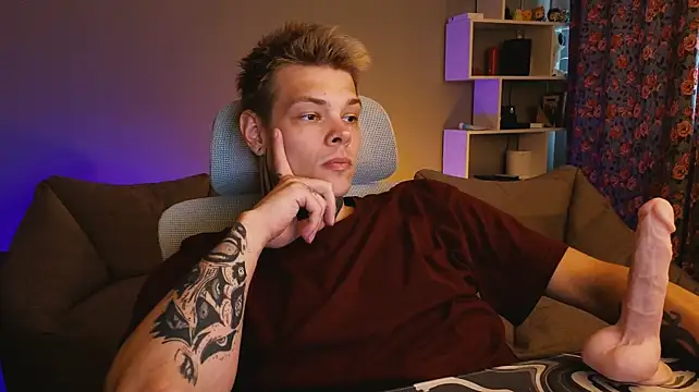 DENIS_HERE webcam