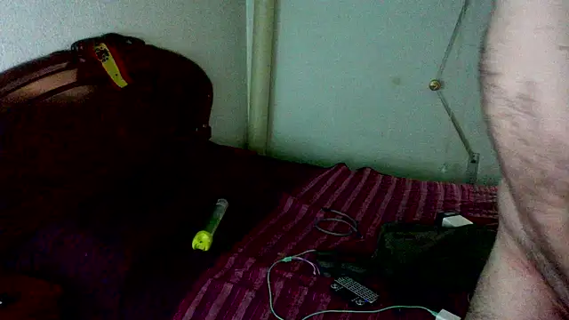 spartan24cm webcam