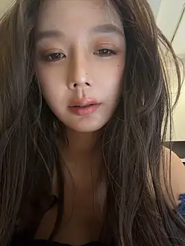 BBi-0329 webcam
