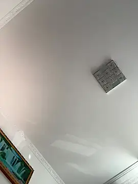 VioAsh webcam