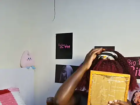Aria_ah webcam