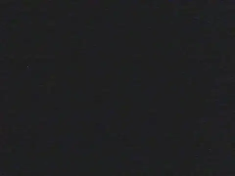 shugabaibe webcam