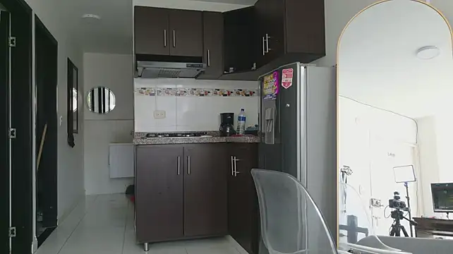 grey___27 webcam