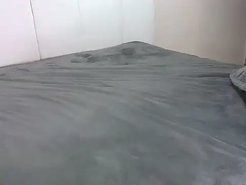 Switdelfy webcam