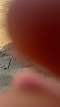 kotkite webcam