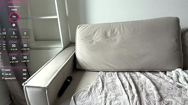 art_object webcam