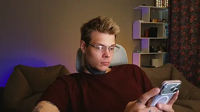 DENIS_HERE webcam