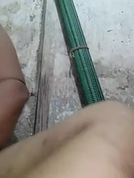 Gulapi_N webcam