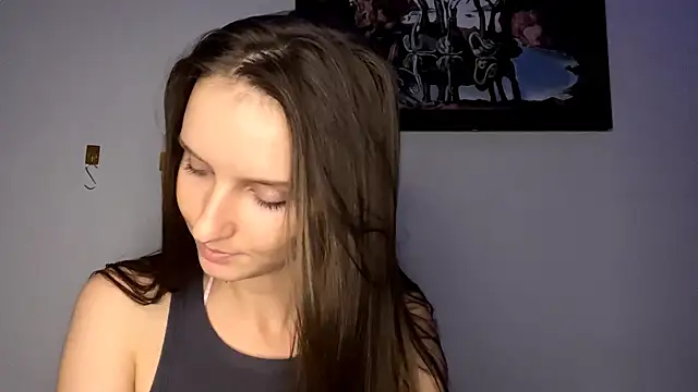 VanMendrin webcam